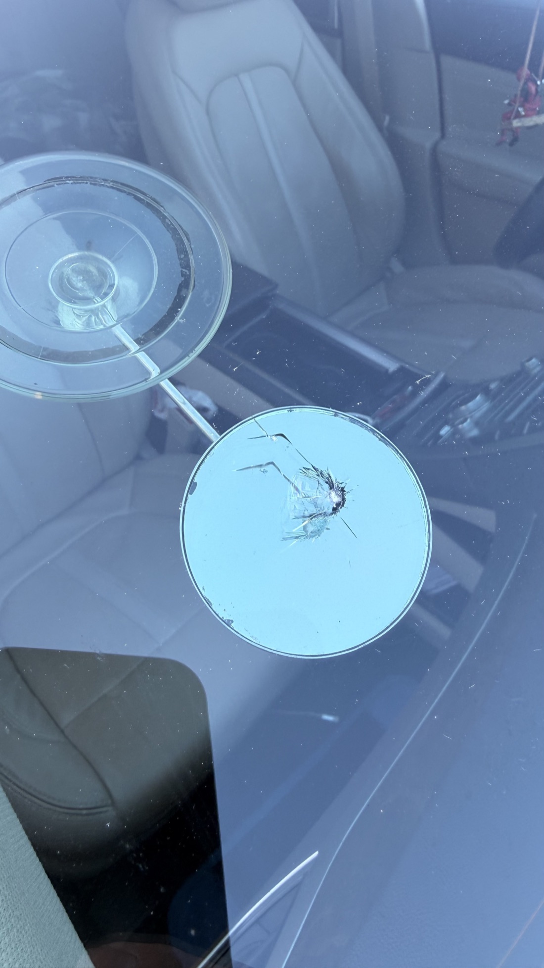 Close-up of a rock chip in a windshield with a resin repair tool positioned over it, showing whether a chip can be repaired or needs full replacement, Corpus Christi TX